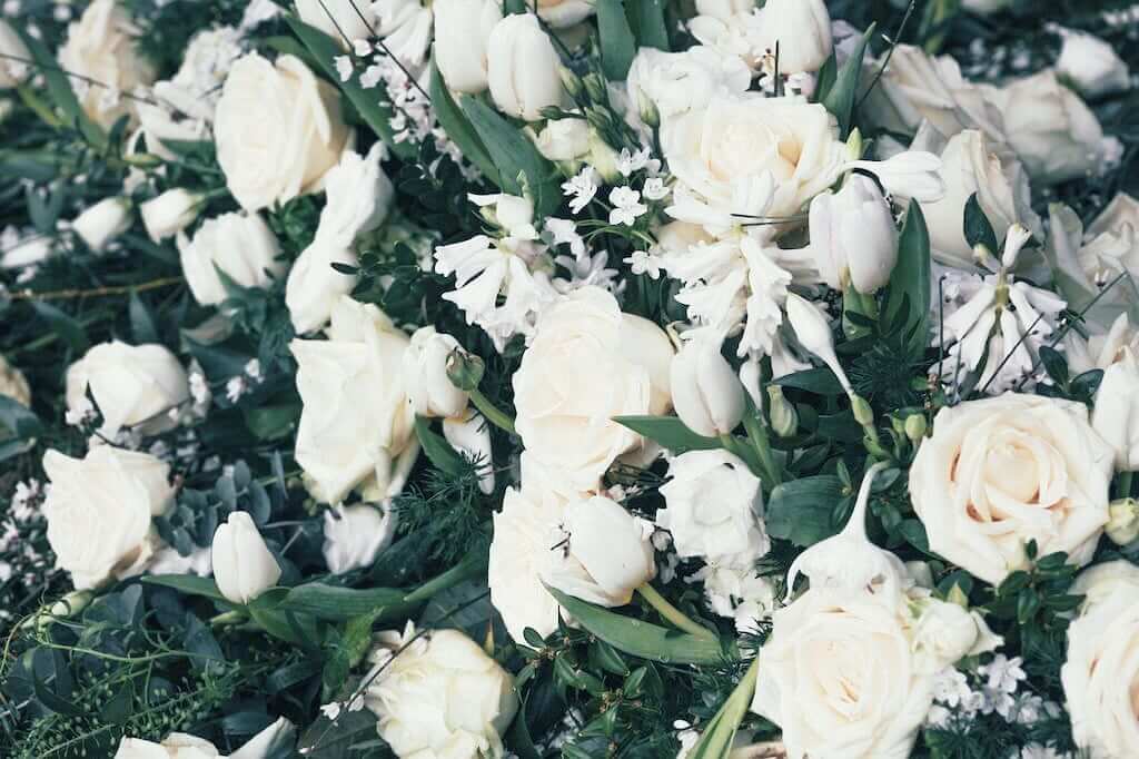 Trauerredner Oberösterreich | weiße Rosen