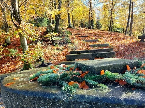 Waldfriedhof - Sophie Hennerbichler