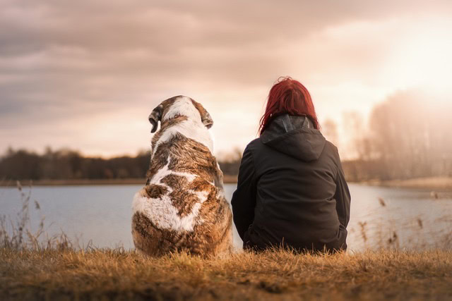 Tiertrauerfeier Wien | Hund und Frau sitzen nebeneinander