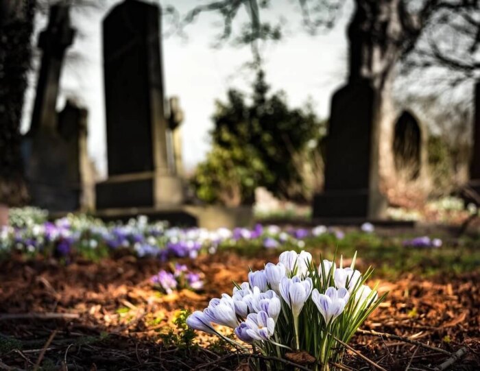 Trauerredner - Blumen auf Friedhof