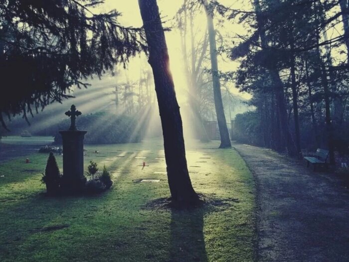Trauerredner - Friedhof