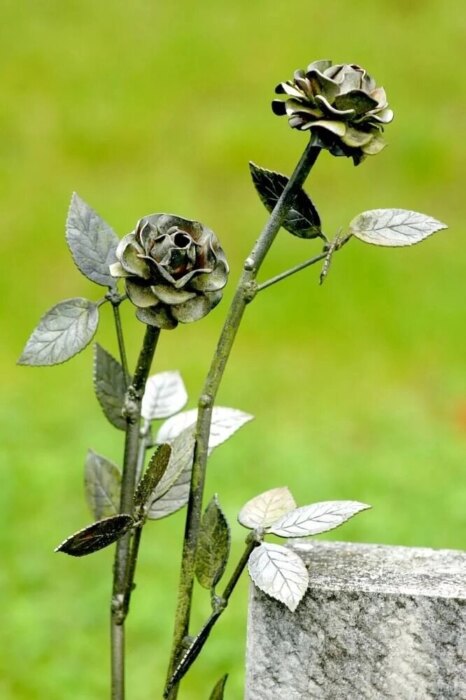 Trauerredner - Rose