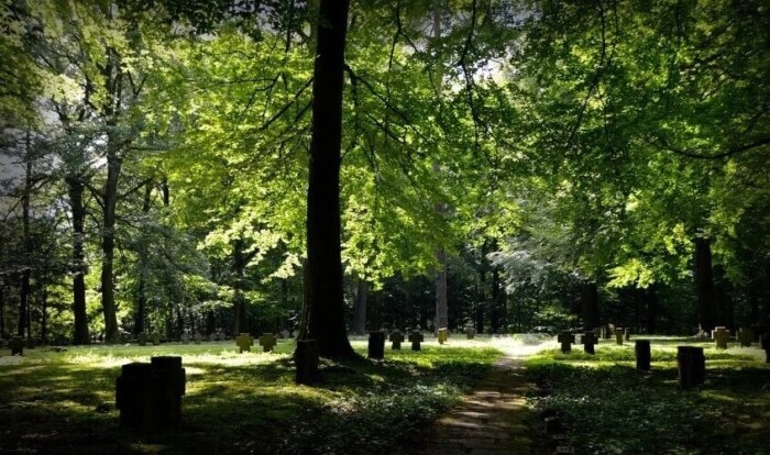Trauerredner - Waldfriedhof