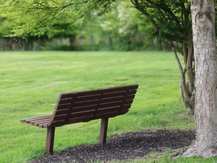 Trauerredner - Bank im Park