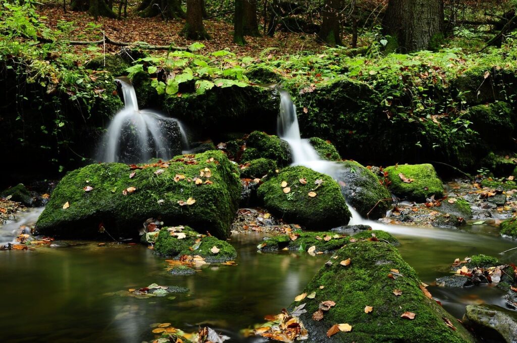 Trauerredner Hallein - Natur