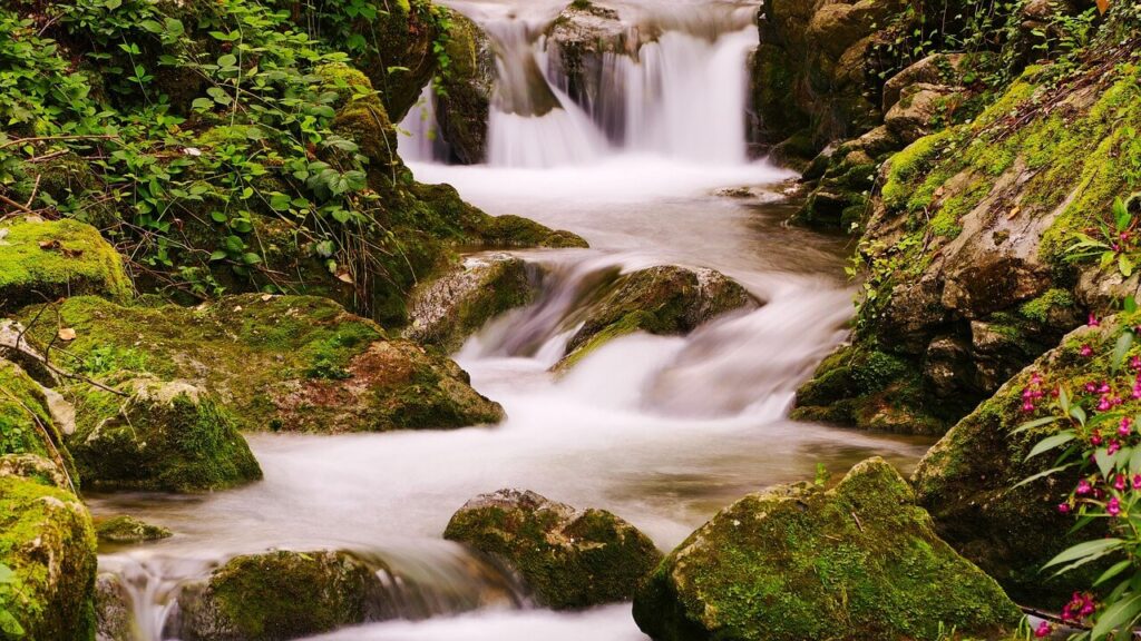 Trauerredner Hallein - Bach