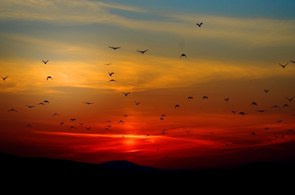 Trauerredner Hallein - Sonnenaufgang