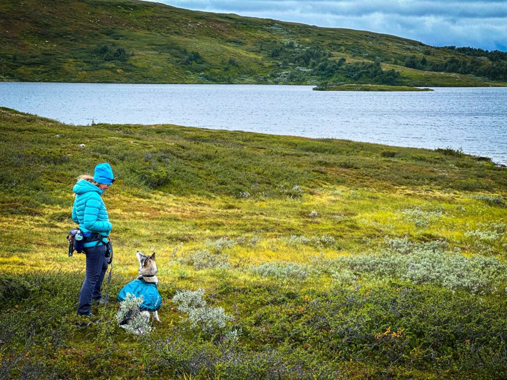 Zwei Wanderer mit Hund in der Natur bei einem See in Österreich, umgeben von grünen Hügeln und bewölktem Himmel.
